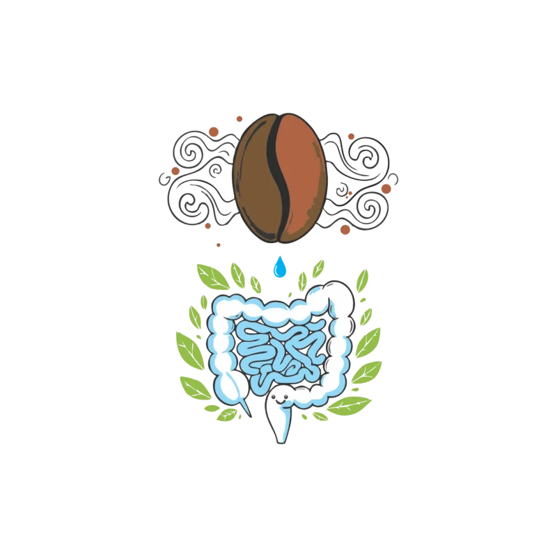 Coffee Enema (Specialised Gut Support)